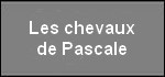 les_chevaux_de_pascale.jpg