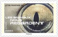 AUTOAD-2015-88.jpg