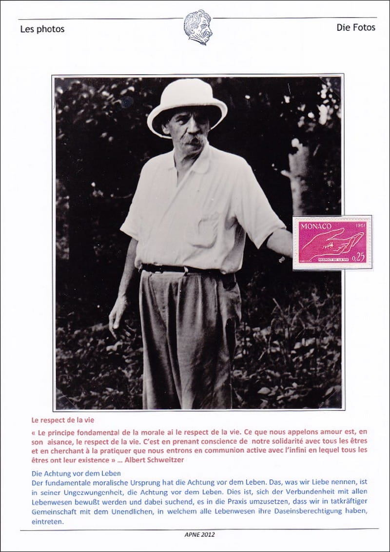 les_photos_001.jpg