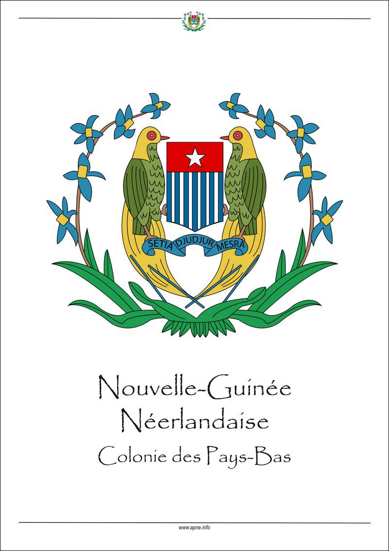 nouvelle-guinee-neerlandaise-page_de_garde.jpg