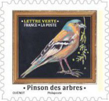 CARNET-2024-01_001.jpg