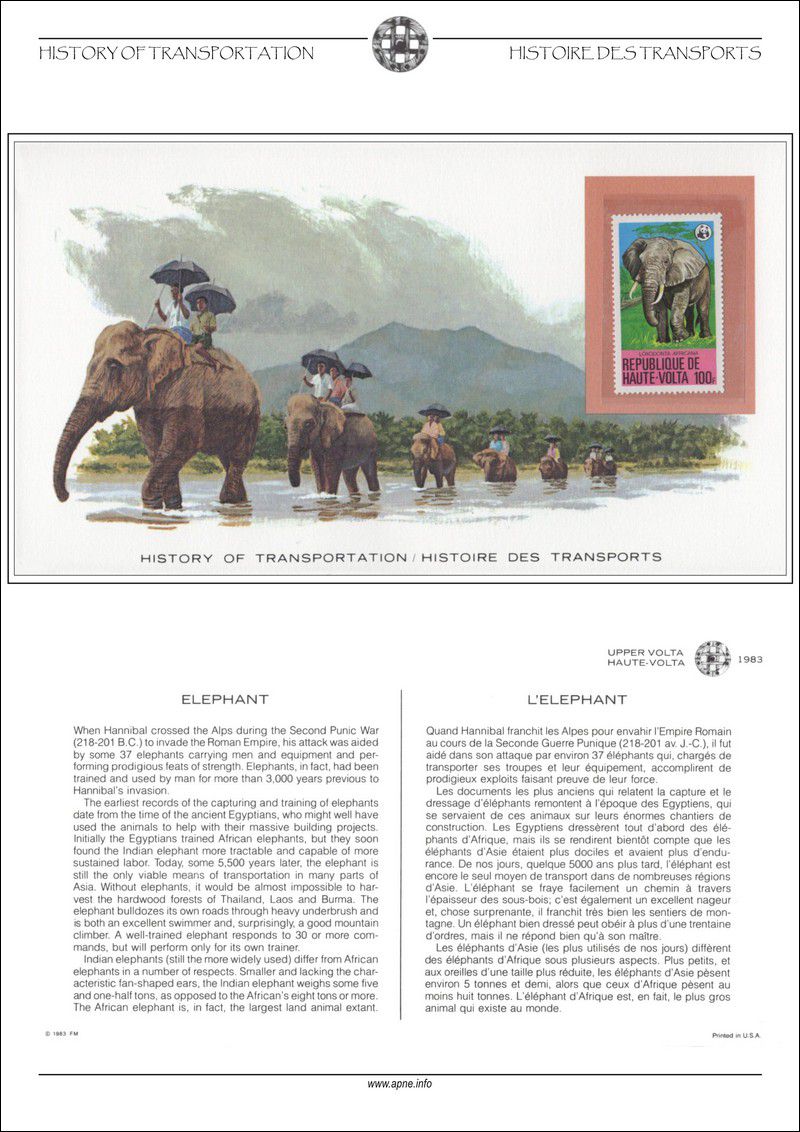 l-elephant.jpg
