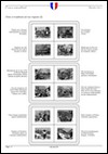 v_France_autoadhesif_2011-004.png