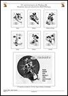 v_wd_st-vincent-1999-02.jpg